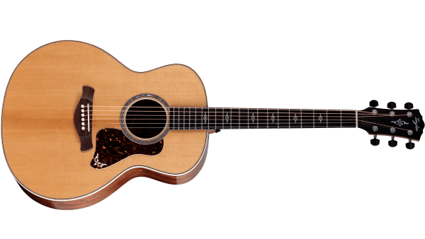 Taylor アコースティックギター アコースティックギター | Taylor Guitars